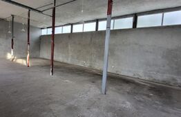 Hala si birouri, 183 mp si curte 300 mp, zona Calea Severinului
