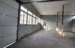 Hala si birouri, 183 mp si curte 300 mp, zona Calea Severinului