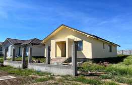 Case individuale la cheie, 115 mp, 460 mp teren, Carcea