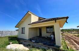 Case individuale la cheie, 115 mp, 460 mp teren, Carcea