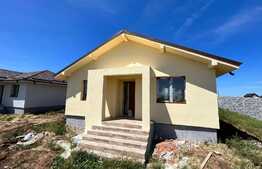 Case individuale la cheie, 115 mp, 460 mp teren, Carcea