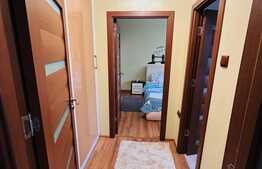 Apartament 2 camere, mobilat si utilat modern, zona Brazda