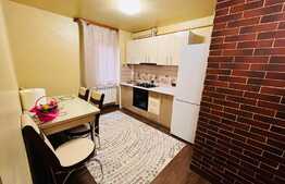 Apartament 2 camere, mobilat si utilat modern, zona Brazda