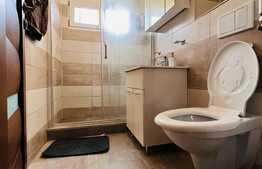 Apartament 2 camere, mobilat si utilat modern, zona Brazda