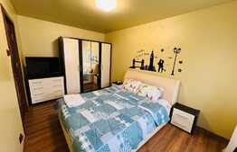 Apartament 2 camere, mobilat si utilat modern, zona Brazda