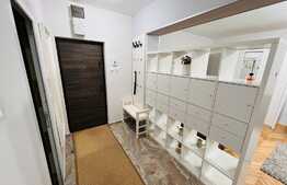 Studio spatios de 45 mp, mobilat modern, zona centrala