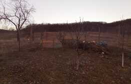 Casa de 170 mp, 2250 mp teren intravilan si livada, la 10 minute de oras!