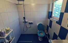 Casa de 170 mp, 2250 mp teren intravilan si livada, la 10 minute de oras!