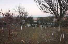 Casa de 170 mp, 2250 mp teren intravilan si livada, la 10 minute de oras!