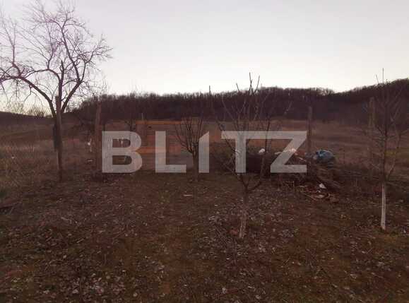 Casa de vânzare 7 camere Exterior Vest - 81298CV | BLITZ Craiova | Poza9