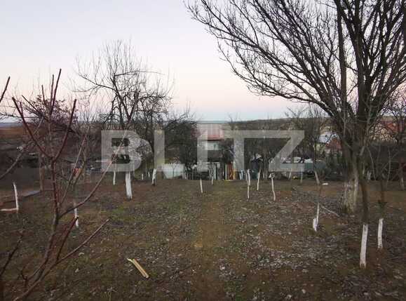 Casa de vânzare 7 camere Exterior Vest - 81298CV | BLITZ Craiova | Poza10