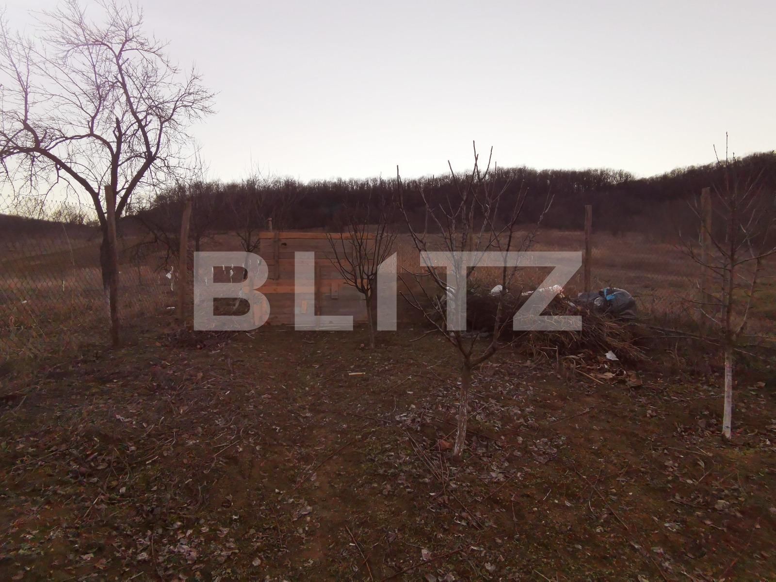 Casa de vânzare 7 camere Exterior Vest - 81298CV | BLITZ Craiova | Poza9