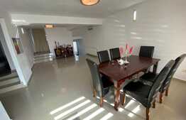 Casă S + P + E + T renovată la interior, de 250 mp utili, cu 400 mp curte, zona Ford