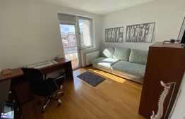 Casă S + P + E + T renovată la interior, de 250 mp utili, cu 400 mp curte, zona Ford