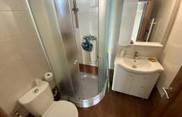 Casă S + P + E + T renovată la interior, de 250 mp utili, cu 400 mp curte, zona Ford