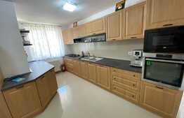 Casă S + P + E + T renovată la interior, de 250 mp utili, cu 400 mp curte, zona Ford