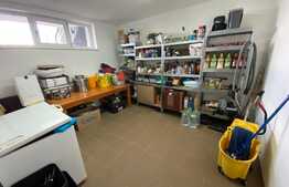 Casă S + P + E + T renovată la interior, de 250 mp utili, cu 400 mp curte, zona Ford