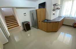 Casă S + P + E + T renovată la interior, de 250 mp utili, cu 400 mp curte, zona Ford