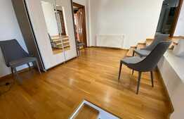 Casă S + P + E + T renovată la interior, de 250 mp utili, cu 400 mp curte, zona Ford