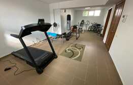 Casă S + P + E + T renovată la interior, de 250 mp utili, cu 400 mp curte, zona Ford