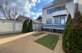 Casă S + P + E + T renovată la interior, de 250 mp utili, cu 400 mp curte, zona Ford