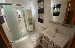 Casă S + P + E + T renovată la interior, de 250 mp utili, cu 400 mp curte, zona Ford