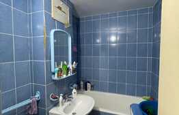 Garsoniera de 28 mp, etaj intermediar, zona Lapus 