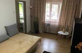 Garsoniera de 28 mp, parter, zona unitatii militare Cornitoiu