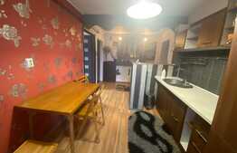 Apartament 2 camere, 53 mp, decomandat, centrala proprie, zona Calea Severinului