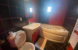 Apartament 2 camere, 53 mp, decomandat, centrala proprie, zona Calea Severinului