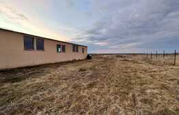 Teren IV + EV împrejmuit de 4.760 mp, cu hală de 200 mp, Bucovăț