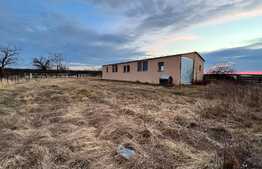 Teren IV + EV împrejmuit de 4.760 mp, cu hală de 200 mp, Bucovăț