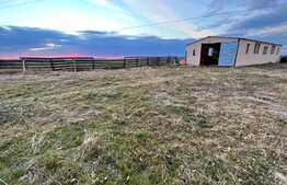 Teren IV + EV împrejmuit de 4.760 mp, cu hală de 200 mp, Bucovăț