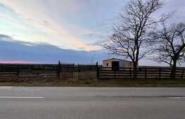 Teren IV + EV împrejmuit de 4.760 mp, cu hală de 200 mp, Bucovăț