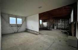 Teren IV + EV împrejmuit de 4.760 mp, cu hală de 200 mp, Bucovăț