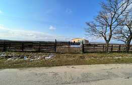 Teren IV + EV împrejmuit de 4.760 mp, cu hală de 200 mp, Bucovăț