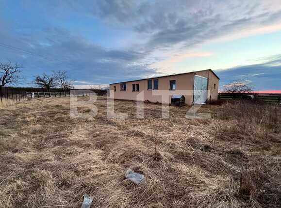 Teren de vânzare Bucovat - 81423TV | BLITZ Craiova | Poza6