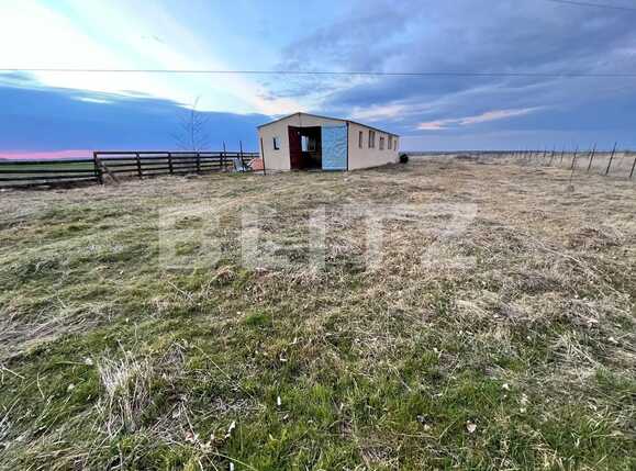 Teren de vânzare Bucovat - 81423TV | BLITZ Craiova | Poza2