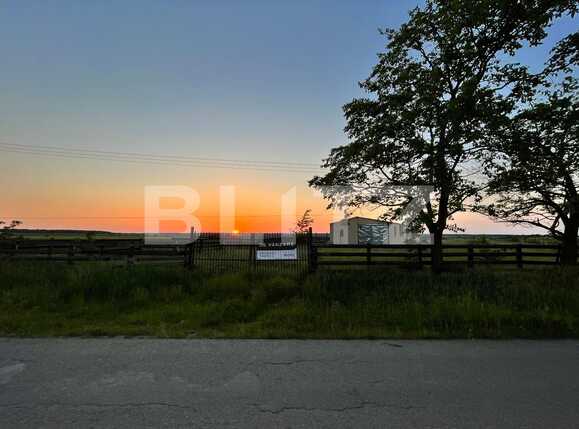 Teren de vânzare Bucovat - 81423TV | BLITZ Craiova | Poza12