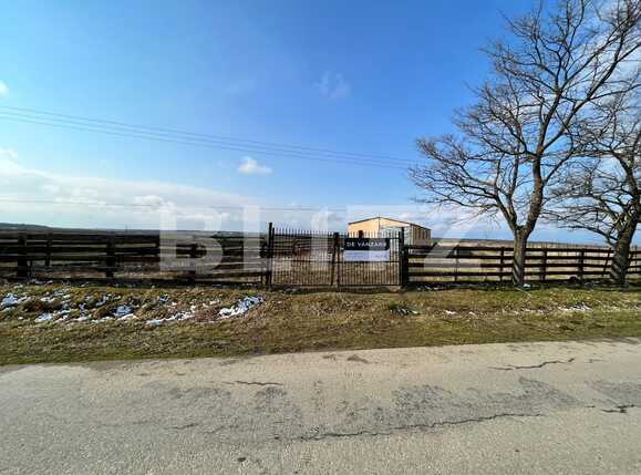 Teren de vânzare Bucovat - 81423TV | BLITZ Craiova | Poza11