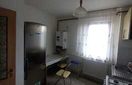 Apartament 2 camere, 48 mp, Brazda lui Novac, etaj 4/4