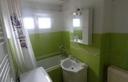 Apartament 2 camere, 48 mp, Brazda lui Novac, etaj 4/4