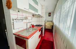 Apartament 2 camere, 55 mp, pet friendly, Brazda lui Novac