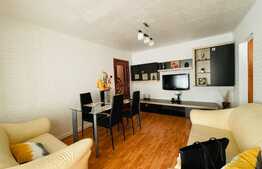 Apartament 2 camere, 55 mp, pet friendly, Brazda lui Novac