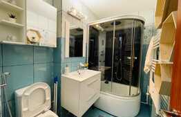 Apartament 2 camere, 55 mp, pet friendly, Brazda lui Novac