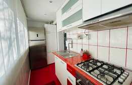 Apartament 2 camere, 55 mp, pet friendly, Brazda lui Novac