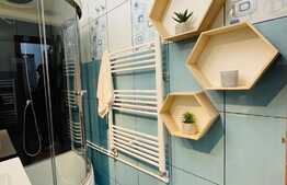 Apartament 2 camere, 55 mp, pet friendly, Brazda lui Novac