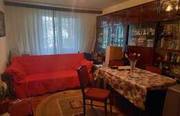 Apartament de 2 camere, circular, zona Calea Severinului 