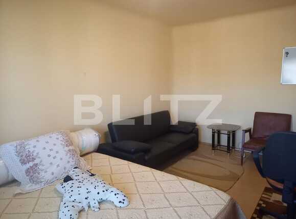 Garsonieră de vânzare Valea Rosie - 81623AV | BLITZ Craiova | Poza1