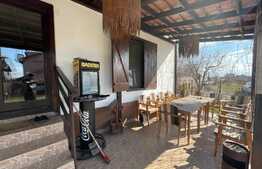 Casa de 200 mp, 500 mp teren, zona Lapus Arges